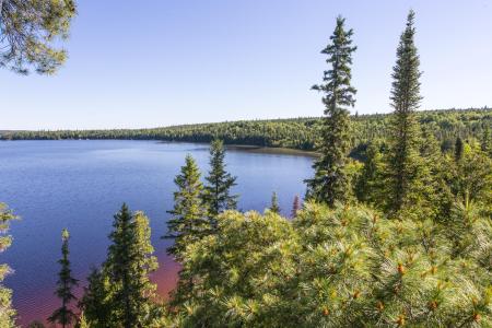 Lac Joannès et forêt boréale