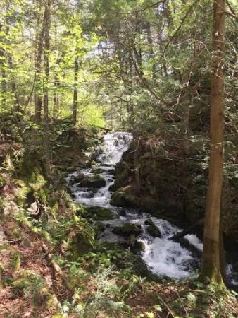 Chute du sentier Le Petit Castor