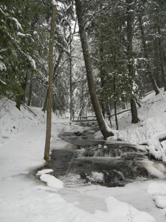 Chute en hiver