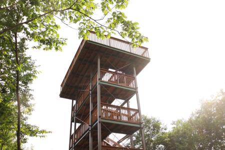 Tour d'observation (P3)
