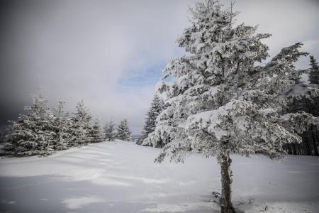 Mont Radar - Paysage hivernal