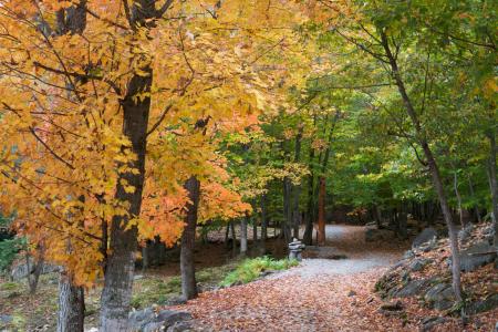 Sentier des Premières Nations