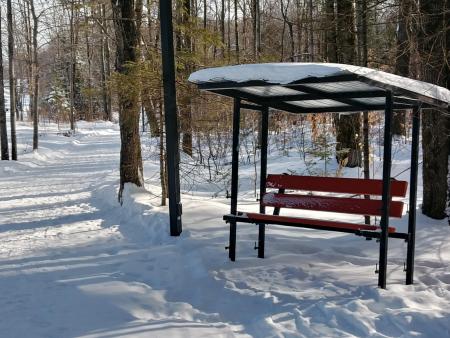 Parc Agathois - Paysage hivernal