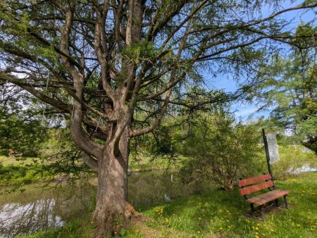 Parc Agathois - Petite île
