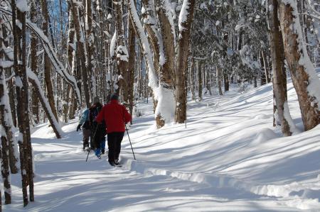 Les parcours de la Missisquoi Nord