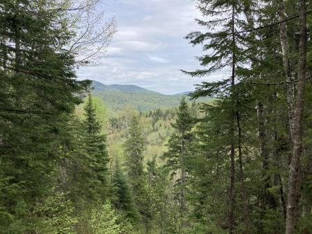 Point de vue sur les montagnes