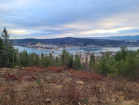 Point de vue