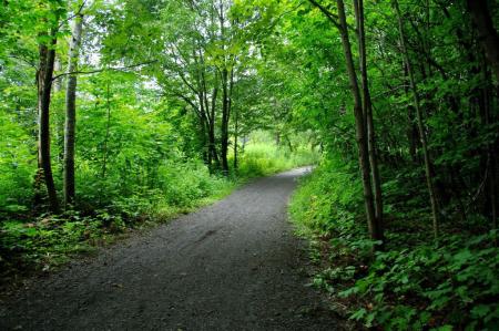 Sentier de marche