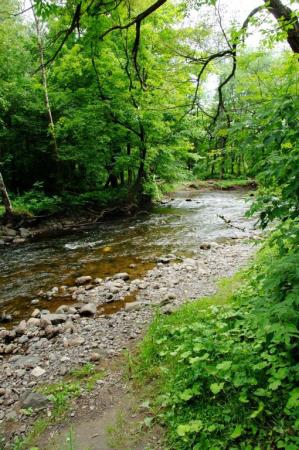 Rivière