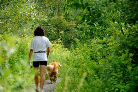 Sentier