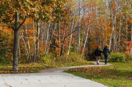 Sentier