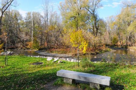 Rivière automne