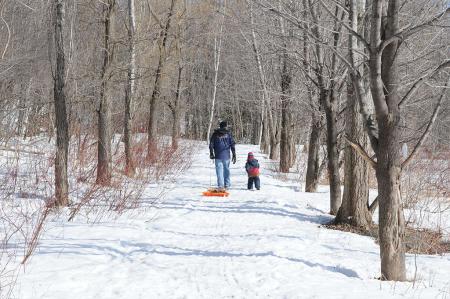 Sentier de marche hivernale
