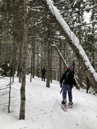 Sentiers en raquette