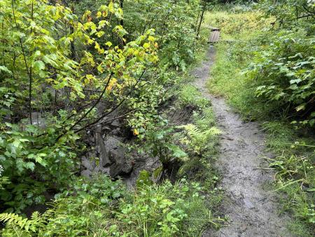 Sentier Dominique-Racine