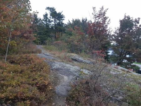 Sentier du boisé Saint-Antoine