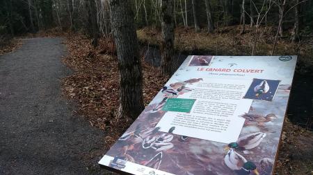 Sentier de la rivière noire - Panneau