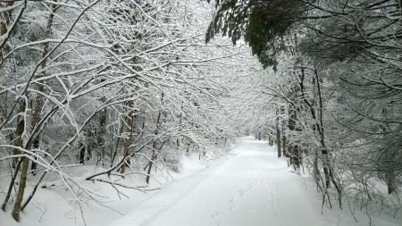 Sentiers d'hiver