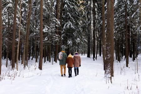 Sentier de randonnée et raquette de Saint-Flavien